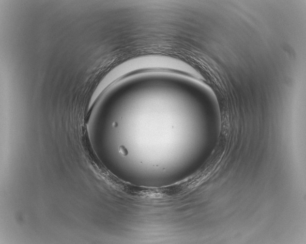 X0000116290284200911301425