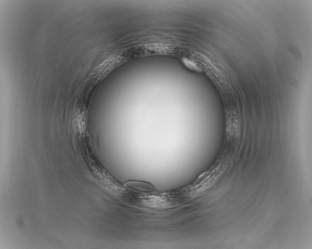 X0000116290285200911301425