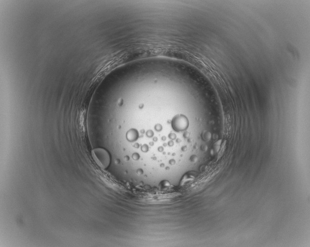 X0000116290286200911301425