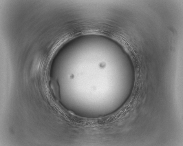 X0000116290289200911301425