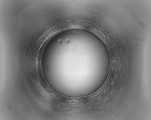 X0000116290290200911301425