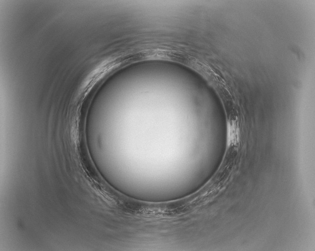 X0000116290291200911301425