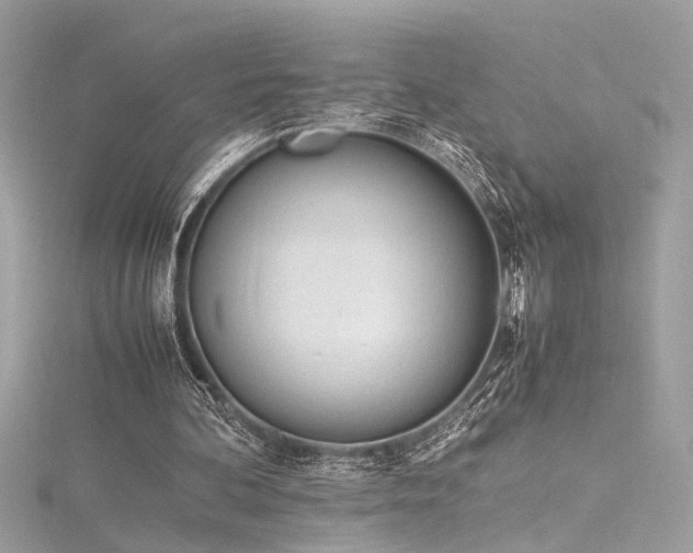 X0000116290292200911301425