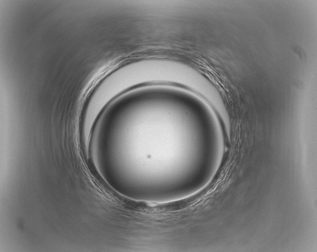 X0000116290293200911301425