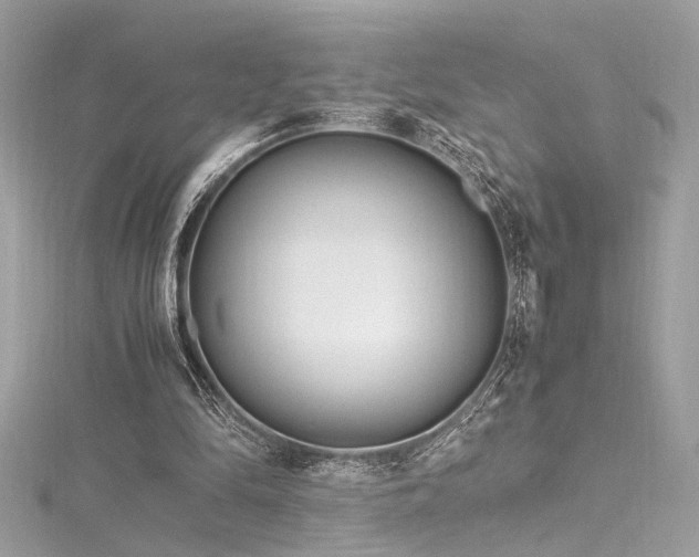 X0000116290294200911301425