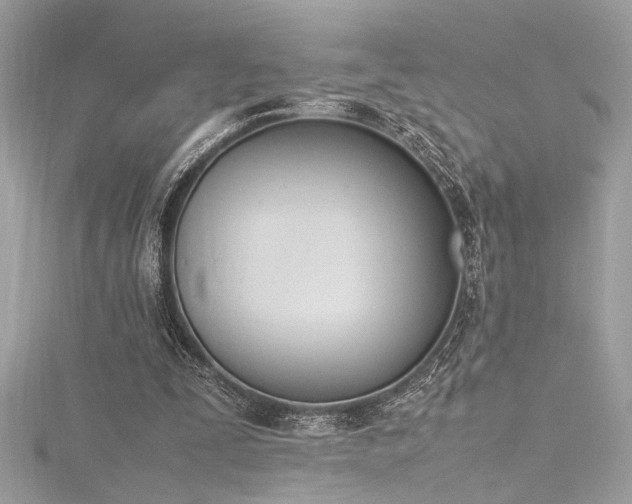 X0000116290295200911301425