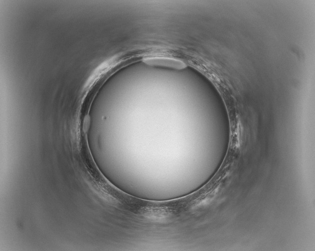 X0000116290296200911301425