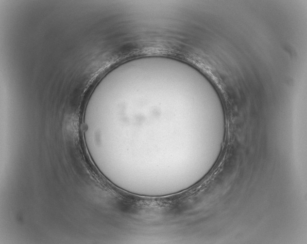 X0000116290297200911301425