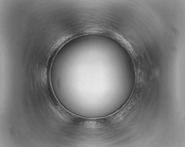 X0000116290298200911301424