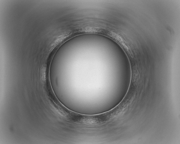 X0000116290299200911301424