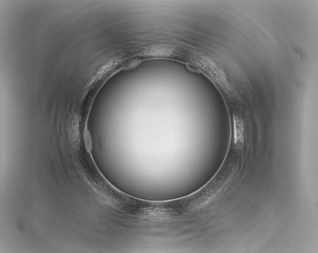 X0000116290300200911301424