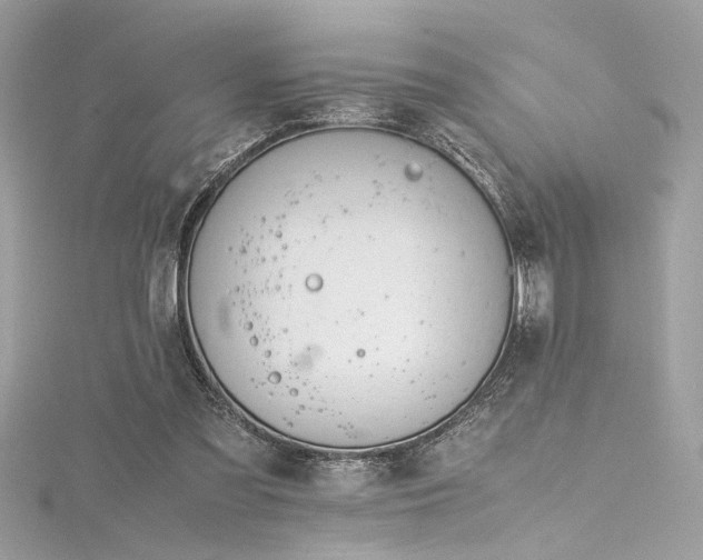 X0000116290301200911301424