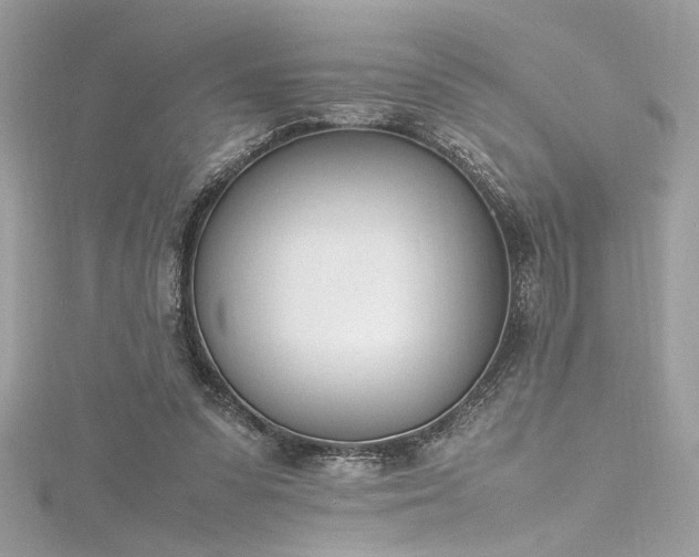 X0000116290303200911301424