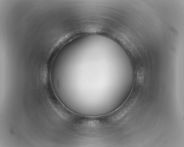 X0000116290304200911301424