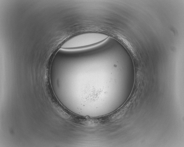 X0000116290305200911301424