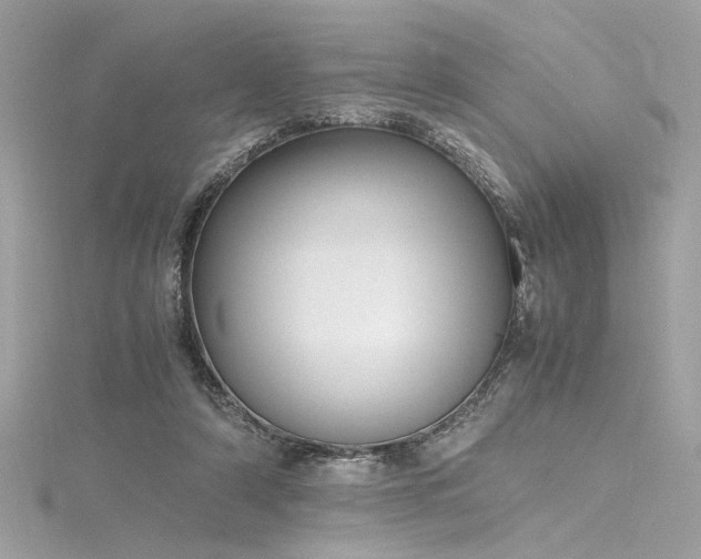 X0000116290306200911301424