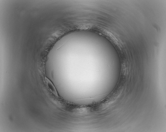 X0000116290307200911301424