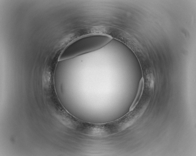 X0000116290308200911301424