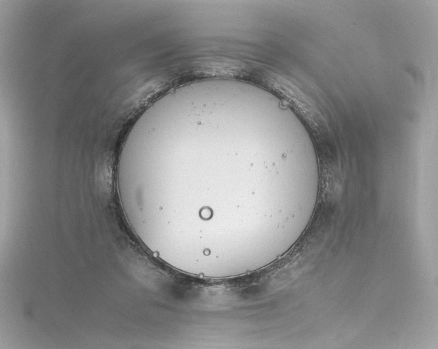 X0000116290309200911301424