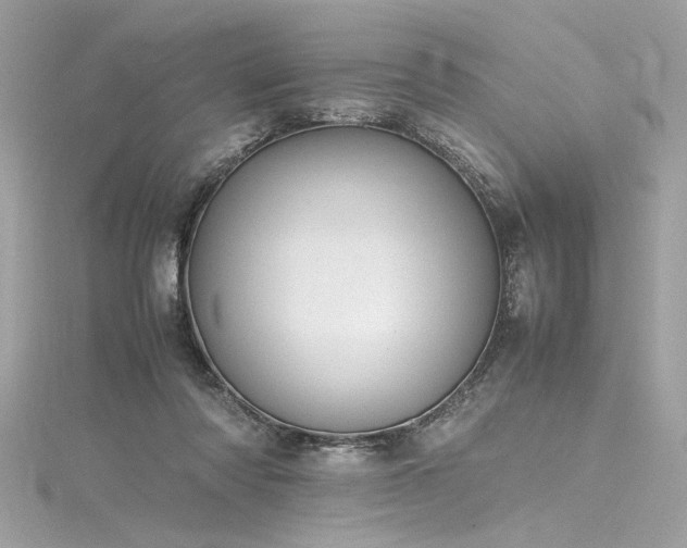 X0000116290310200911301424