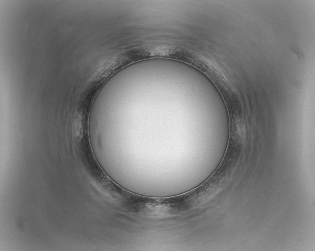 X0000116290311200911301424