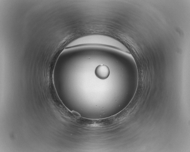 X0000116290312200911301424