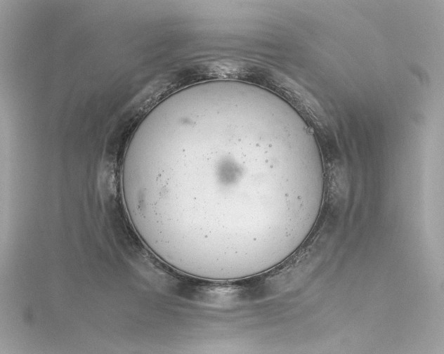 X0000116290313200911301424