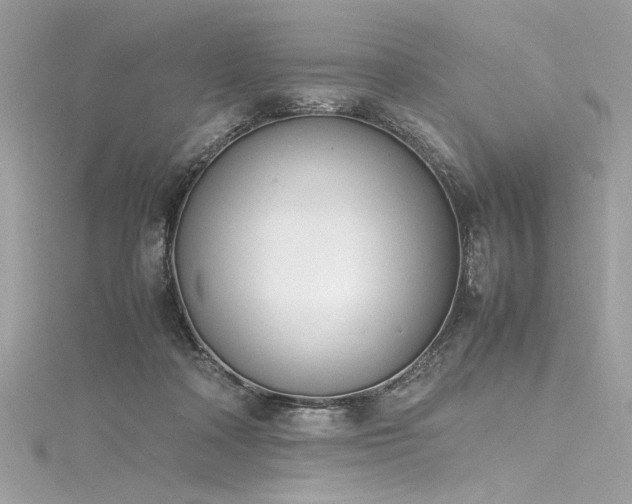 X0000116290314200911301424