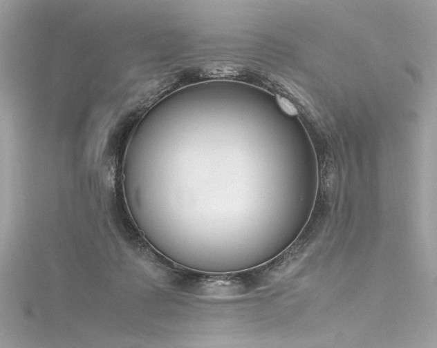 X0000116290315200911301424