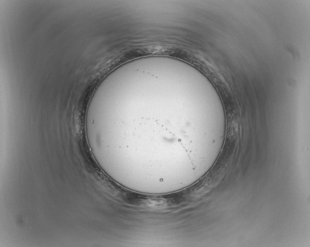 X0000116290317200911301424