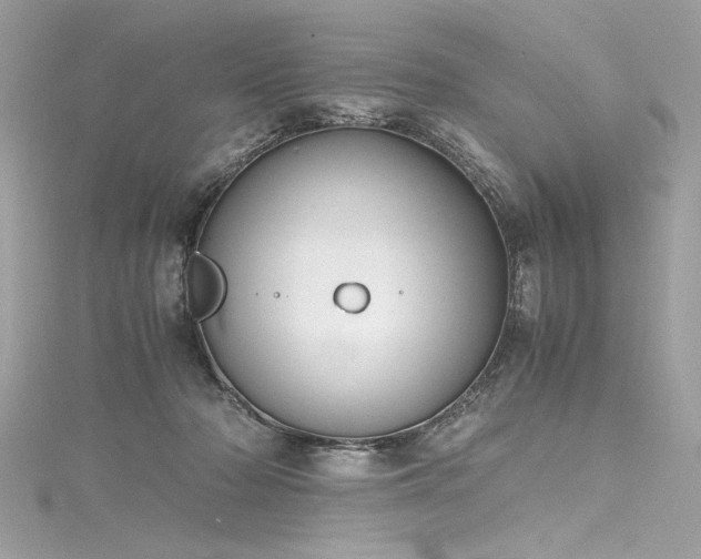 X0000116290318200911301424