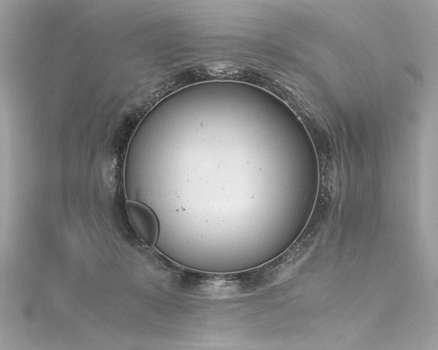 X0000116290319200911301424