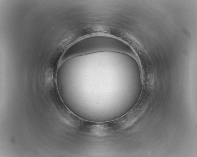 X0000116290320200911301424