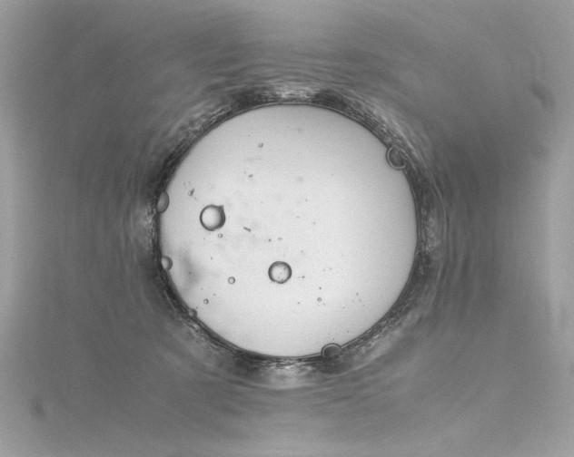 X0000116290321200911301424