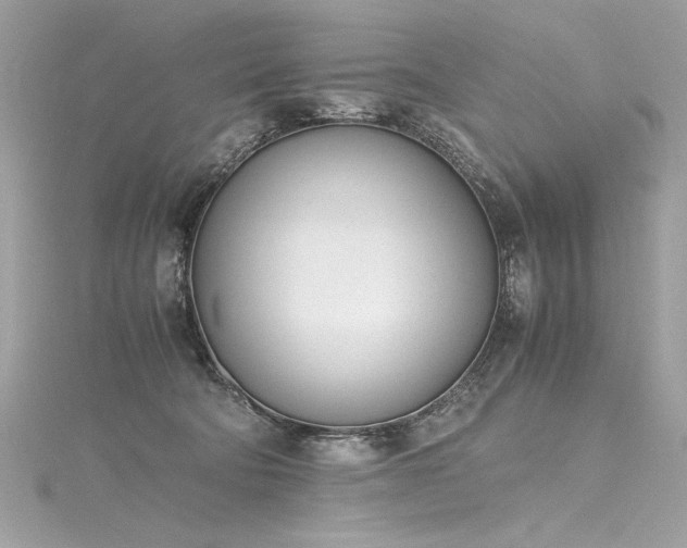 X0000116290322200911301424