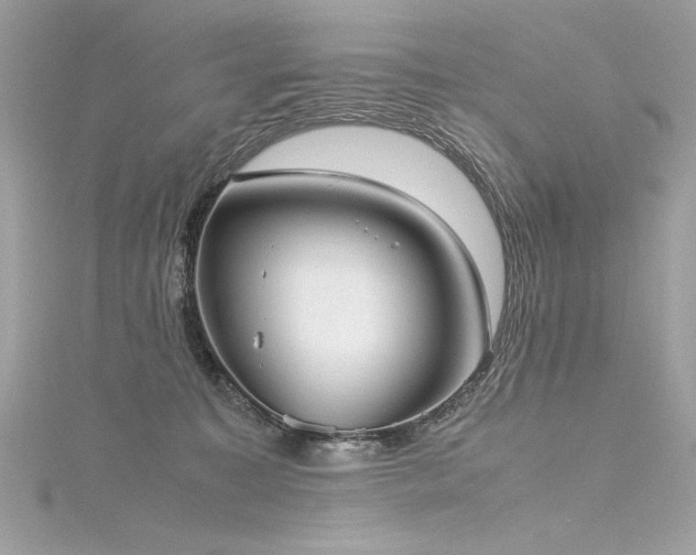 X0000116290323200911301424