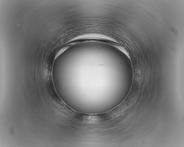 X0000116290324200911301424