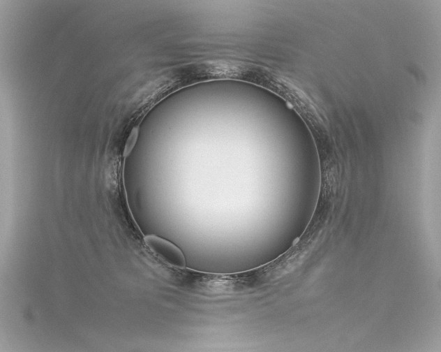 X0000116290325200911301424