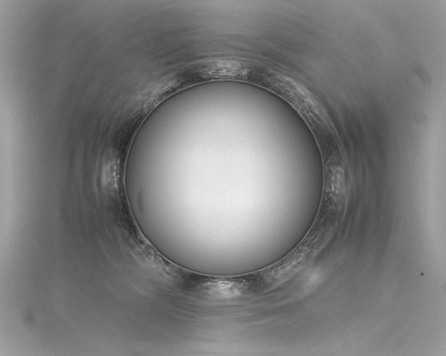 X0000116290326200911301424