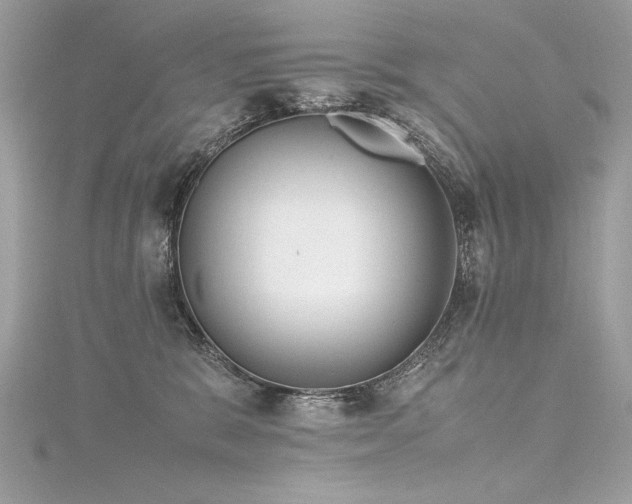 X0000116290327200911301424