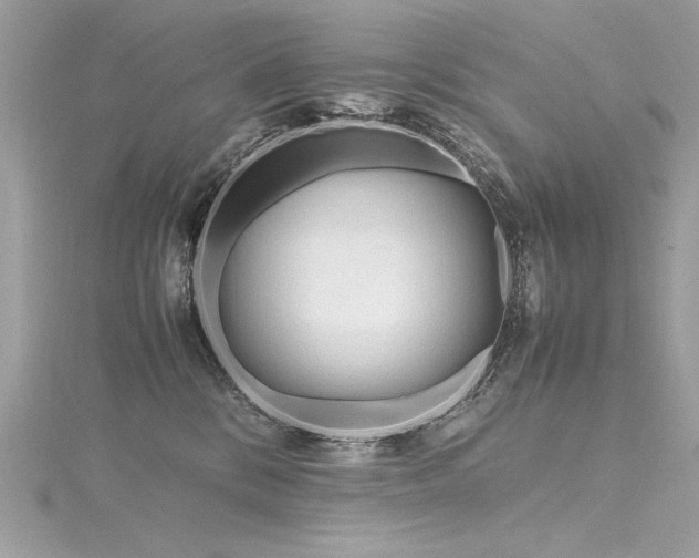 X0000116290328200911301424