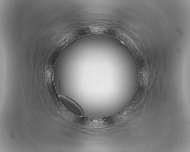 X0000116290329200911301424