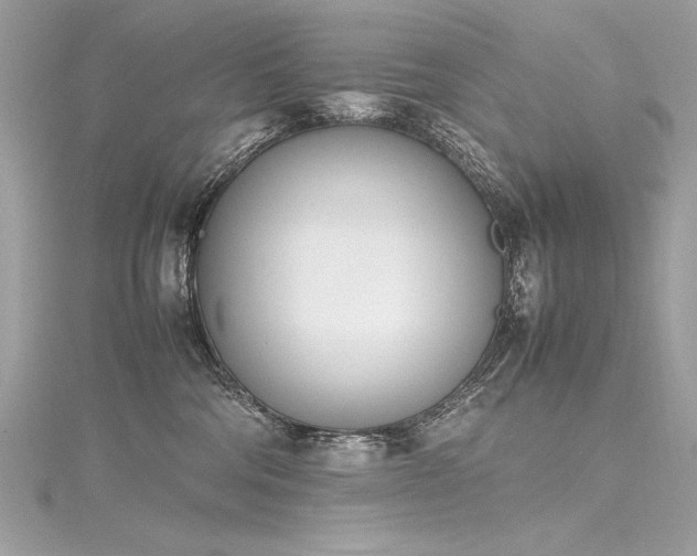 X0000116290330200911301424