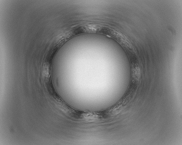 X0000116290331200911301424