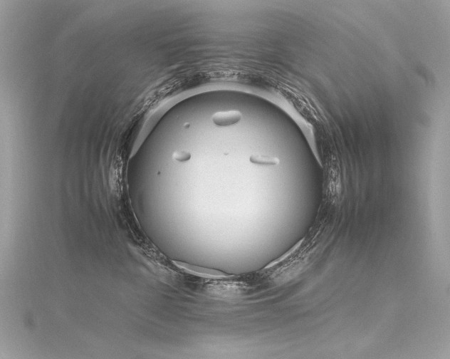 X0000116290332200911301424