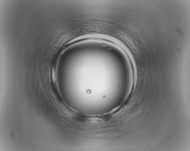 X0000116290333200911301424