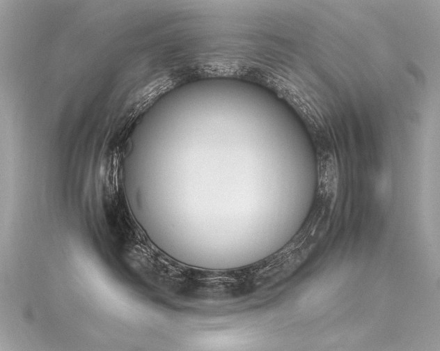 X0000116290334200911301424