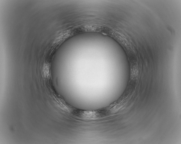 X0000116290335200911301424