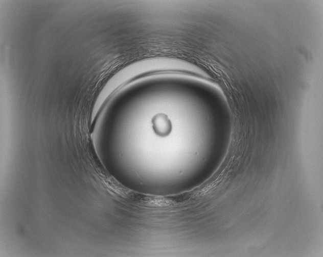 X0000116290336200911301424