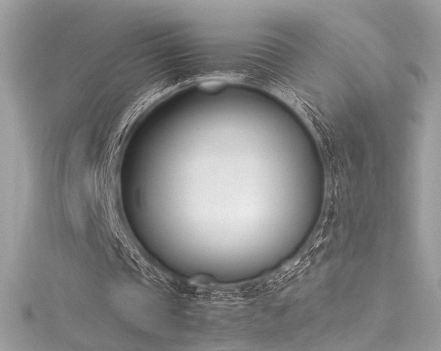 X0000116290337200911301423